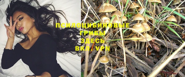 spice Надым