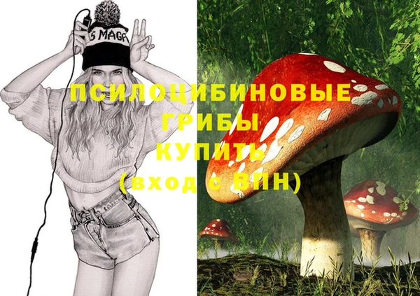 spice Надым
