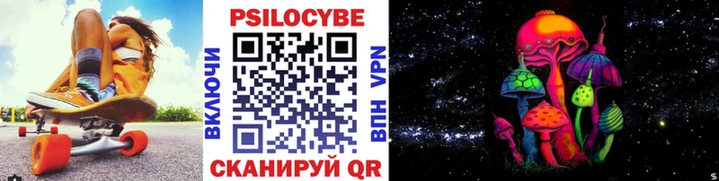 Купить закладки  Тында  Галлюциногенные грибы Psilocybe 